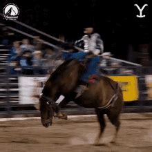 rodeo gif|rodeo video clips.